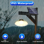 2PCS 40LED Pendants Lights（Cold  & Warm ）